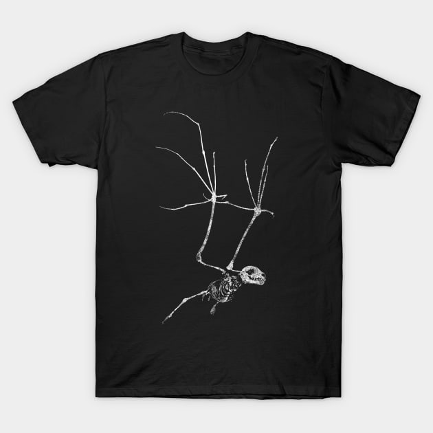 Bat Skeleton T-Shirt by Chad Savage